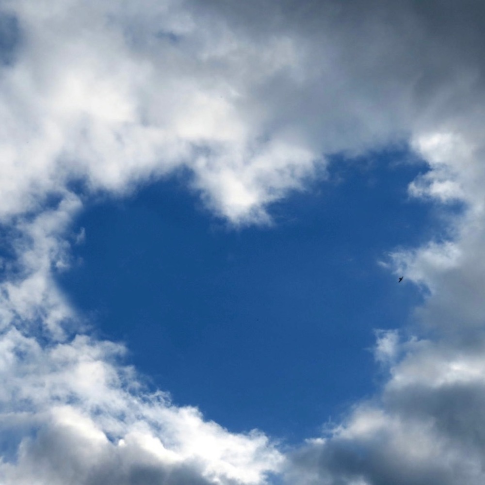 Meet your Posher, Martha